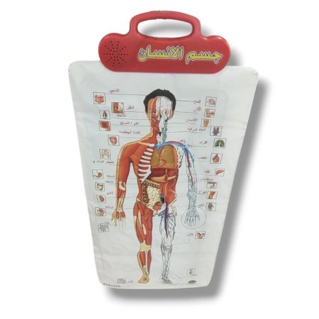 لعبة لوحة جسم الانسان الناطقة