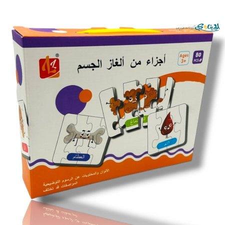 اجزاء الجسم