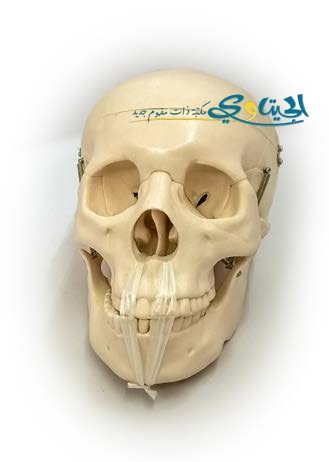 طبيعي